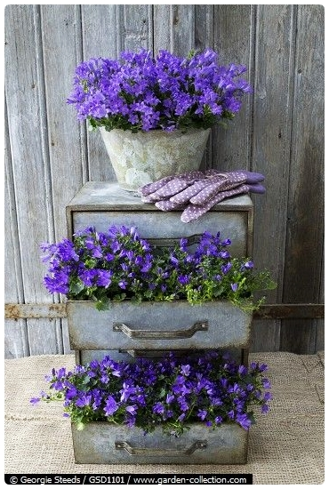 Illustration for article titled 20 Inspiring Flower Planters That Will Bring The Magic Into Your Garden